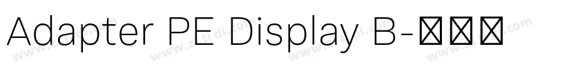 Adapter PE Display B字体转换